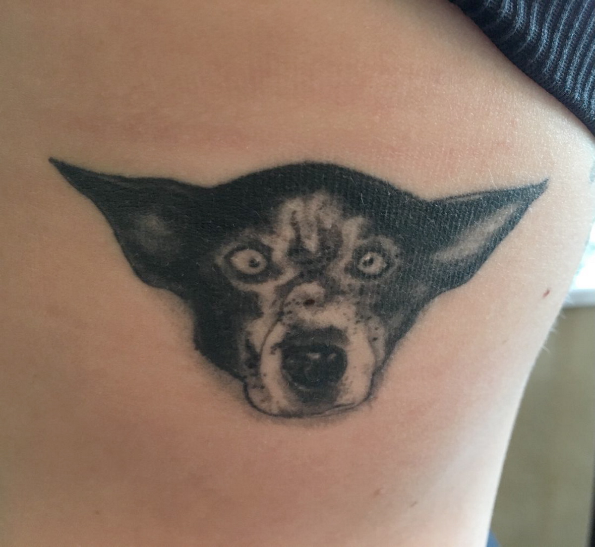 Matthew Wades tattoo of Phillip Hughes ESPNcricinfocom #48 Matthew Wades tattoo of Phillip Hughes ESPNcricinfocom